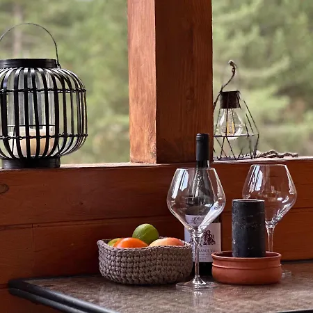 Spacious Penthouse In Pirin Golf And Country Club * Razlog